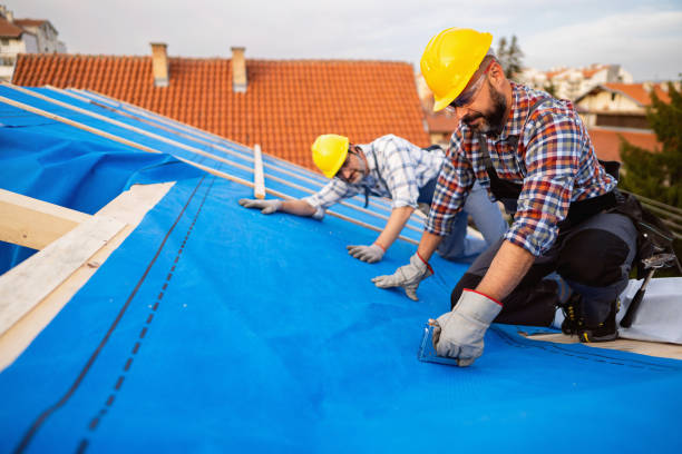 Best Cold Roofs  in Americus, GA